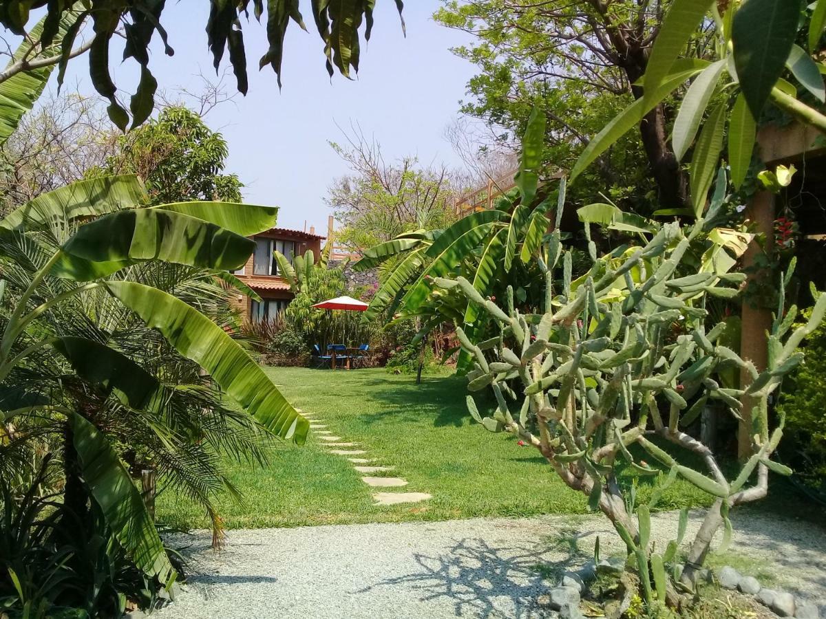 Cabanas El Nido De La Huilota Hotel Tepoztlán Exterior foto